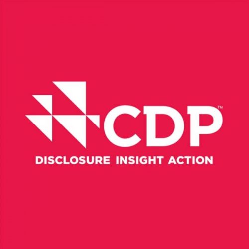 CDP image